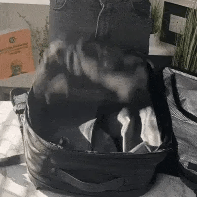 PACKS PREMIUM 圧縮バックパック